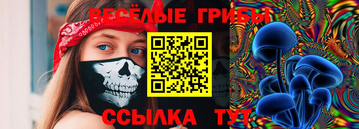 Галлюциногенные грибы ЛСД  Вход с VPN  Чебаркуль 