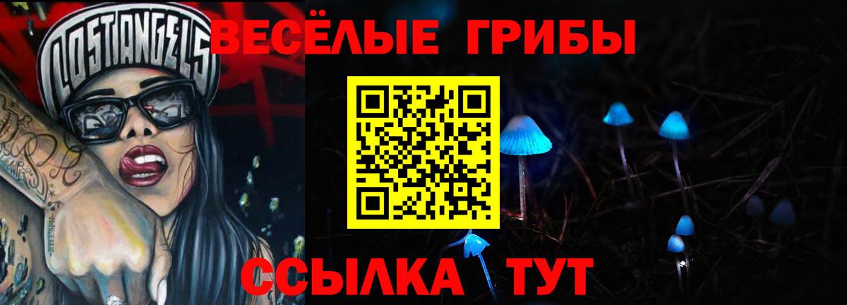 Псилоцибиновые грибы Psilocybine cubensis Чебаркуль
